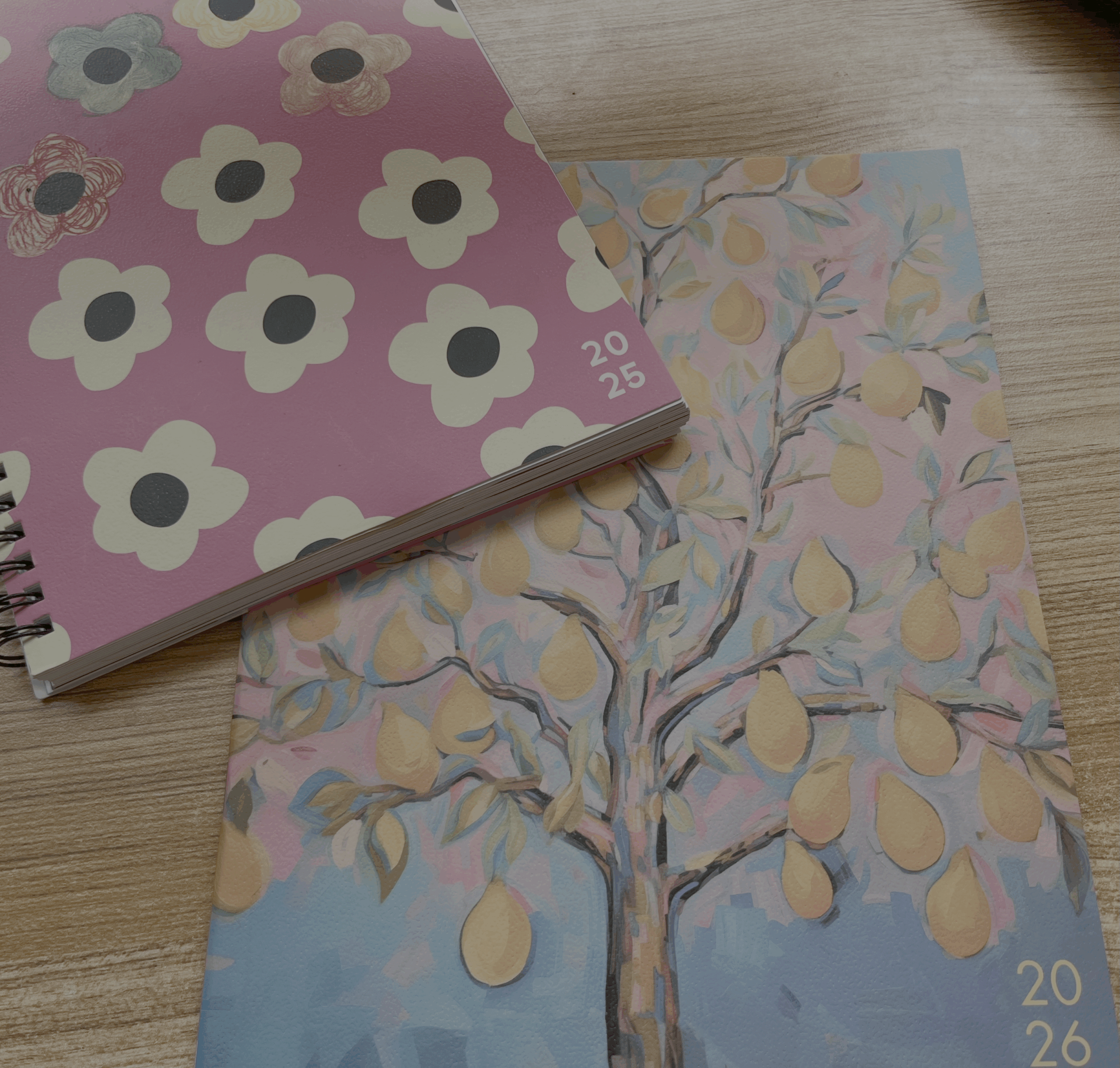 An old 2025 planner and a new 2026 planner